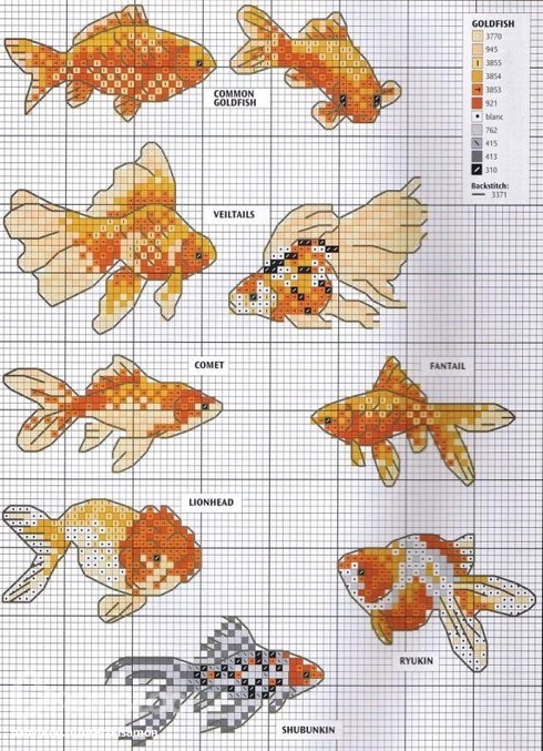 схема вышивки золотая рыбка схема