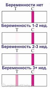Как беременной скинуть 2 кг за один день 65