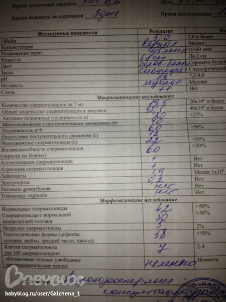 Какие анализы надо сдать мужу если жена беременна 49