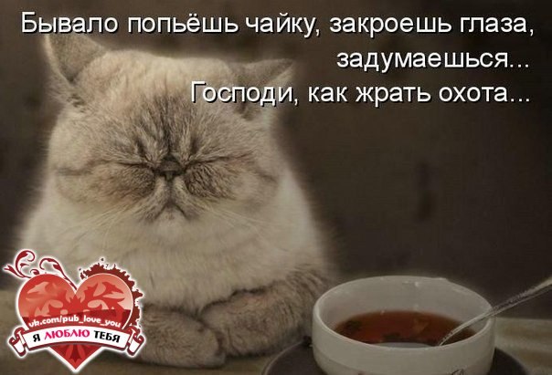 9a25f37429c49f959f4e2d981ef9cdaf.jpg