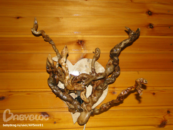 Коряга своими руками для цветов Коряга своими руками для цветов