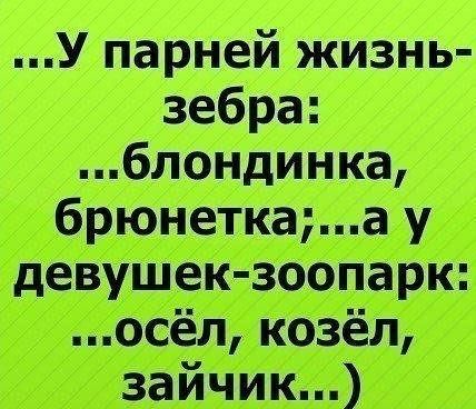 Как начать поздравление с днем свадьбы Как начать поздравление с днем свадьбы