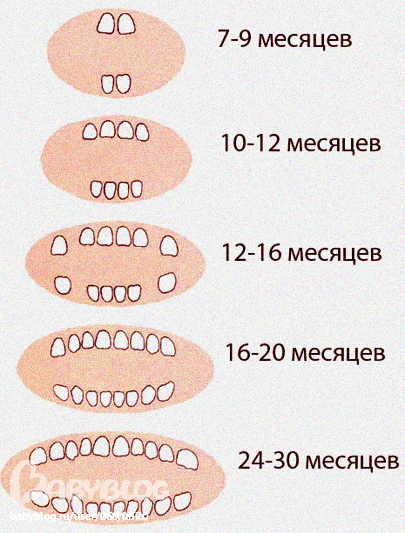 Ты уволен анекдоты Ты уволен анекдоты