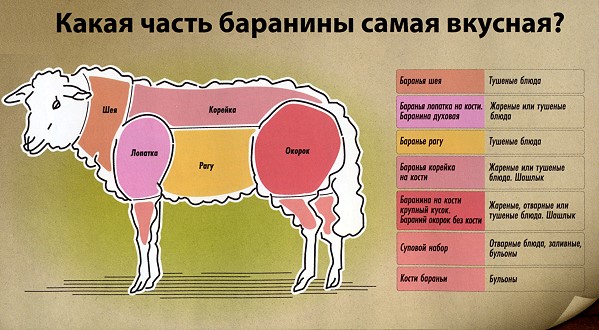 Лучшая часть свинины для шашлыка лучше Лучшая часть свинины для шашлыка лучше