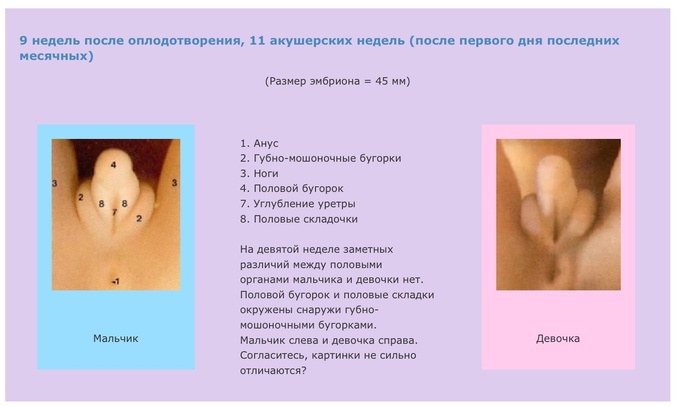 Как сделана вентиляция пластиковых окон 23 Как сделана вентиляция пластиковых окон 85