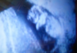 Мой внук или внучка...