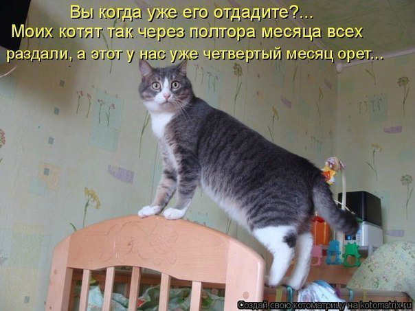КоТоМаТрИцА )))