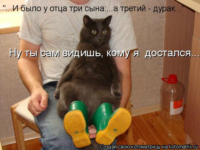 КоТоМаТрИцА )))