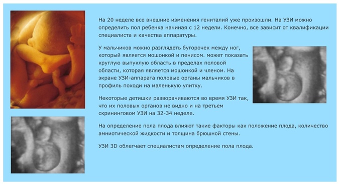 e3dacb5cb9606e7fe24f3a9c9d193378.jpg?677