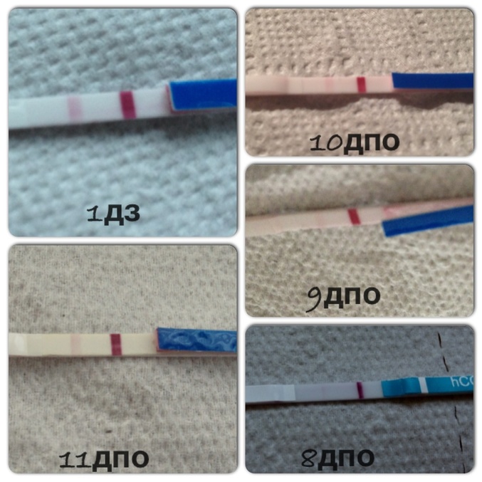 26759d12eb2dc39c0789f3e4ab5964b2.jpg?677