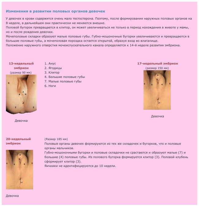 9751ea34b70a6988b0e4b36adcd9691a.jpg?650