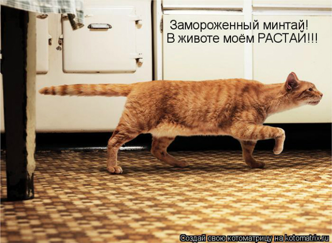 КоТоМаТрИцА )))