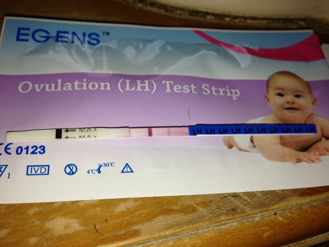 c5dce79b9ada050febfd3f5ee8e954b1.jpg?677
