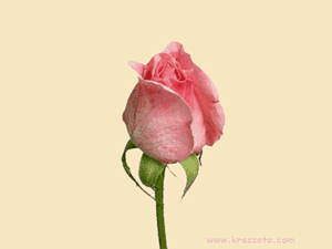 fc63fed7dfcc5a039d79fdc7a6df302d.gif