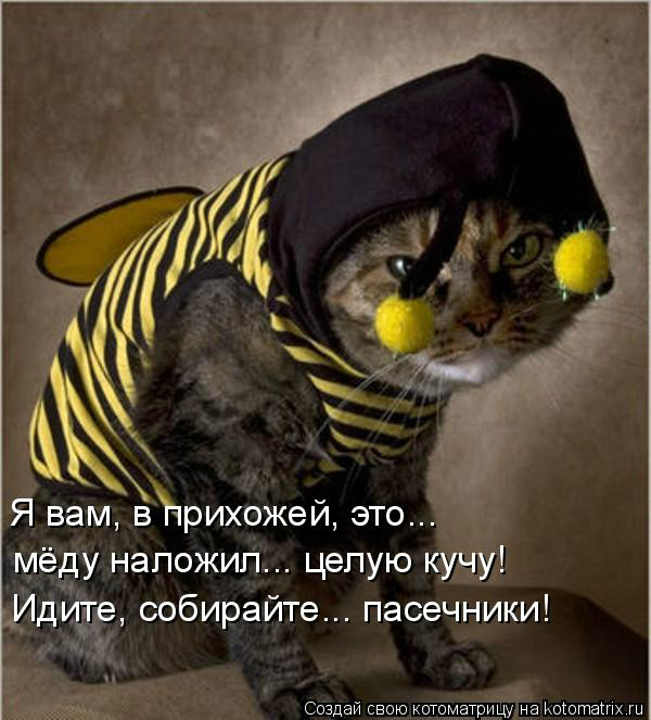 КоТоМаТрИцА )))