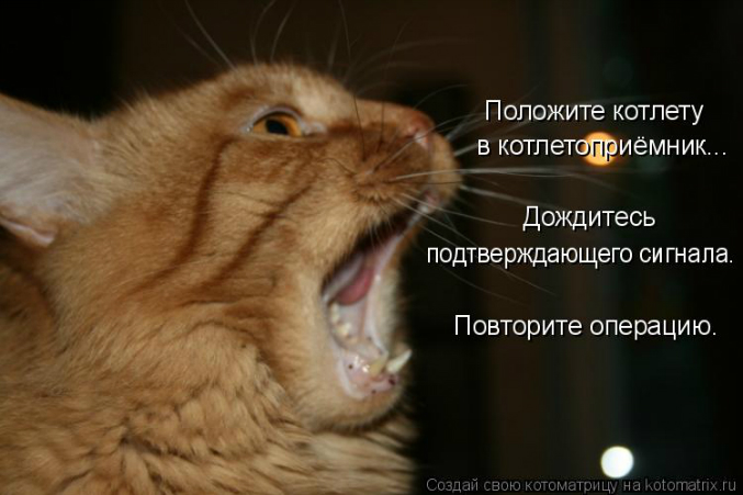 КоТоМаТрИцА )))