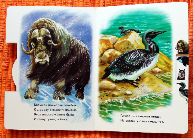 Книжки про животных для малышей | форум Babyblog