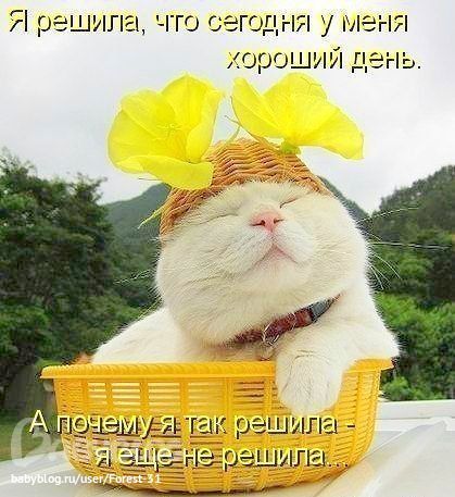Я решила))