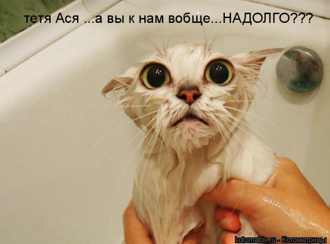 КоТоМаТрИцА )))