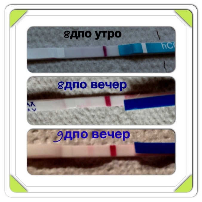 7b866e159d6a780a7efe57c41c9cb4c6.jpg?677