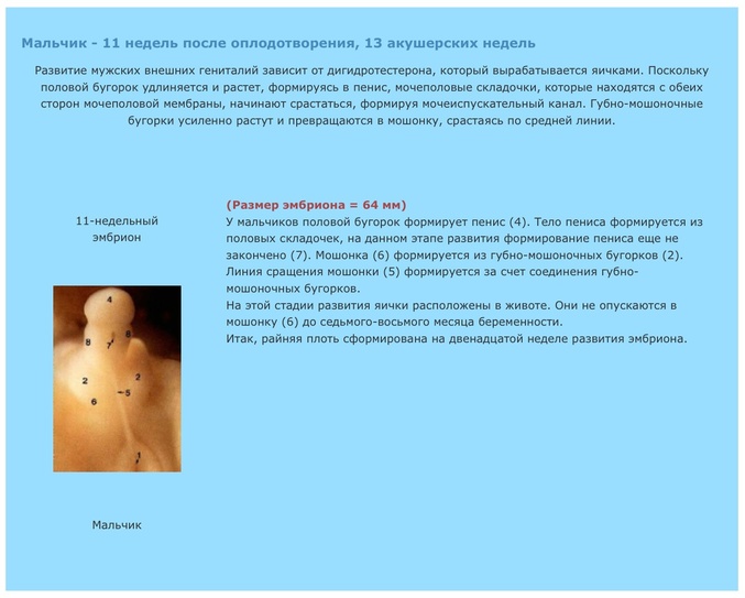 87da8e57ce7779321b8fb92d0fa18c50.jpg?677