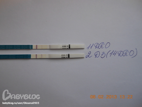 06.02.2013 год 14 ДПО или 2 ДЗ, утренний эвик