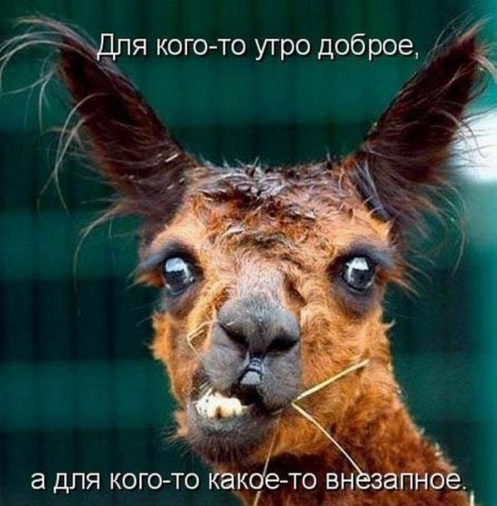 http://122012.imgbb.ru/user/4/47591/1/93dd320afdc23de15f501246ff02dafc.jpg