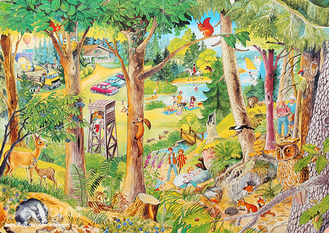Книги для рассматривания — 182 ответов | форум Babyblog