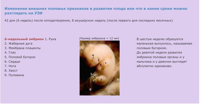 a2ebe64898cb59137c7924f5761b26bc.jpg?677