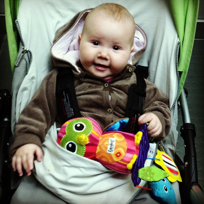 01c7b57db56fbff4e79a495a9be008a8.jpg?677