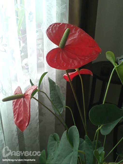 6e3294effed8caf531b9e75234c52411.jpg?508