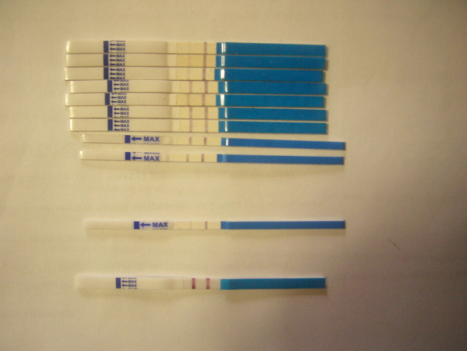 Может ли узи определить ЗБ на 5-6 неделе???????