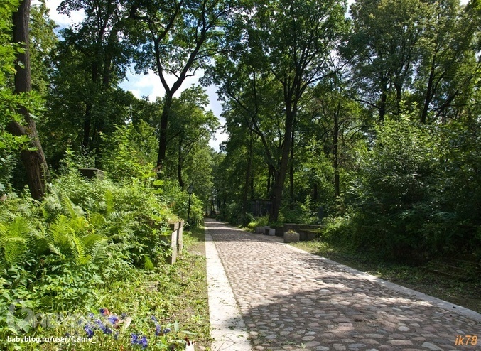 4887d315aa04f197e606d11760044629.jpg?677