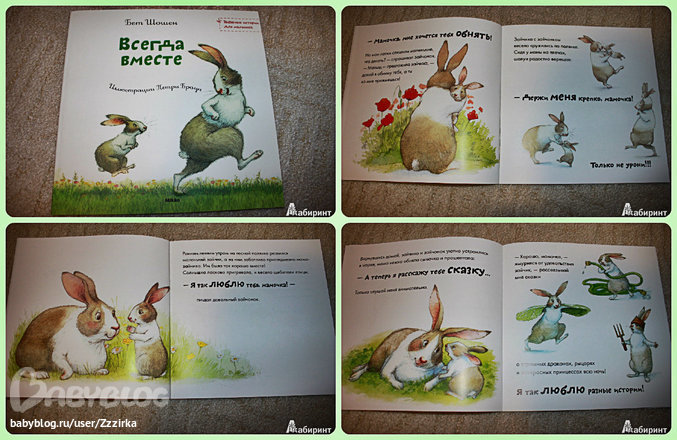 Книга про зайца. Заяц с книгой. Книги про Зайцев. Книга зайчик. Зайчик с книжкой.