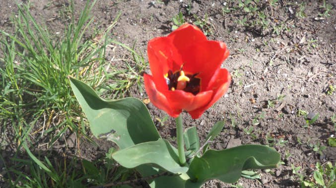 Знакомимся с весной.