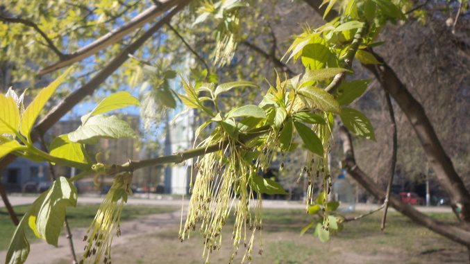 Знакомимся с весной.