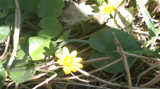 Знакомимся с весной.