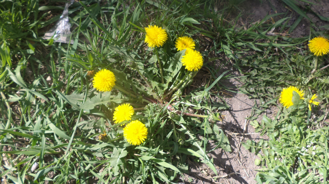 Знакомимся с весной.