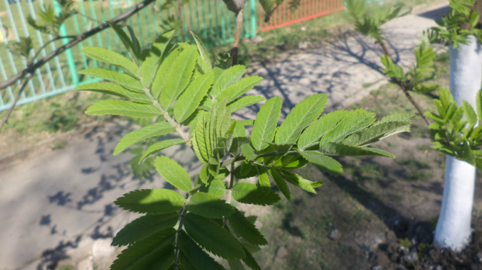 Знакомимся с весной.