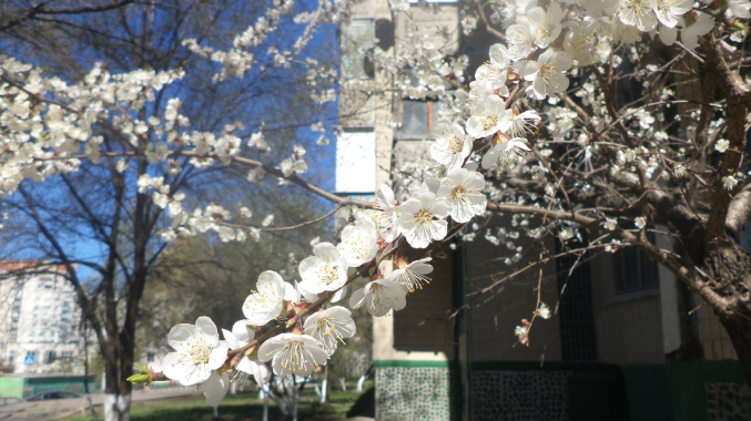 Знакомимся с весной.