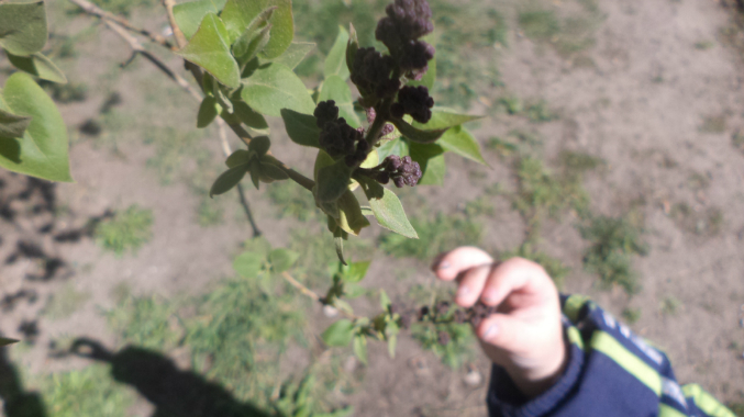 Знакомимся с весной.