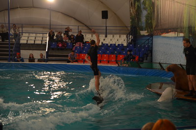bc5c575029621bdaedefc05c28f492dd.jpg