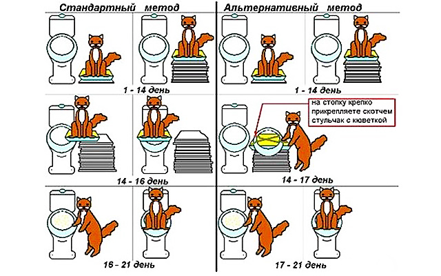 Как часто менять туалет кошке