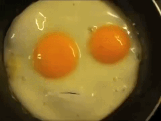 c3a7cff9be5eadd593cccce89d67d571.gif