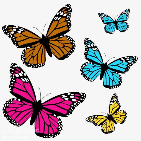 Цветной трафарет. Бабочки цветные. Бабочки для вырезания цветные. Бабочки трафарет цветные. Разноцветные бабочки для вырезания.