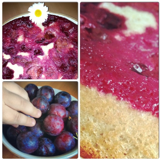 a7b1274a28bd8a432859ff04953afc1f.jpg?677