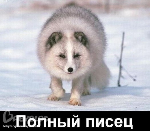 145e7c7603660e9d41e3e33ebd617692.jpg