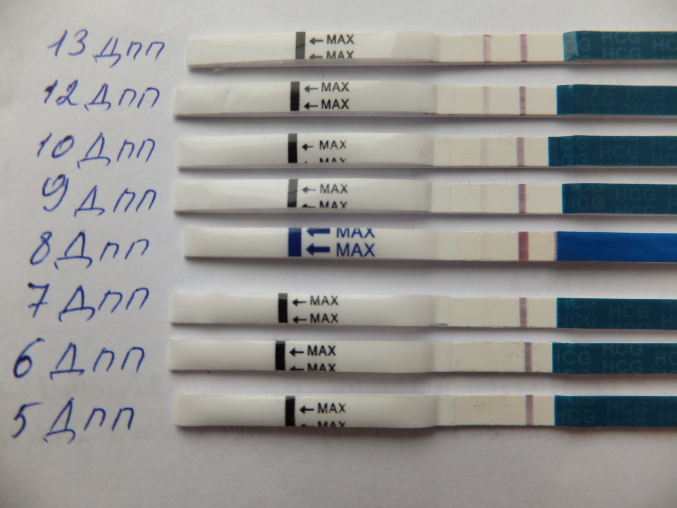 Тесты на беременность после переноса эмбрионов 5. Тесты после переноса. Тесты после подсадки эмбрионов. Тесты после подсадки трехдневок.