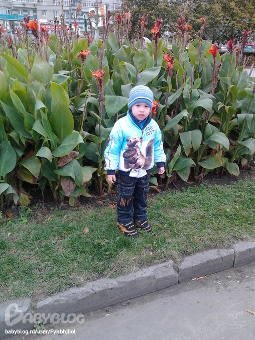 такие мы красивые