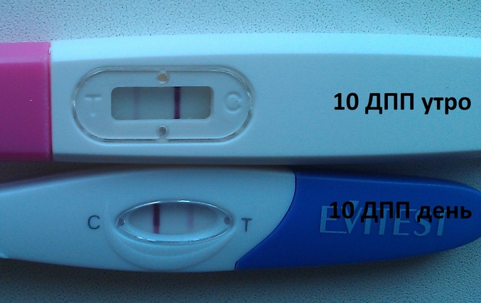 Дпп это. 10 ДПП. Тест на беременность после эко. 10 День после подсадки эмбрионов.